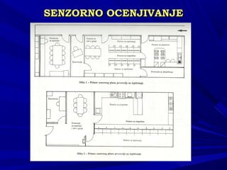 SENSENZZORNO OCENJIVANJEORNO OCENJIVANJE
 