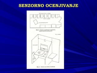 SENSENZZORNO OCENJIVANJEORNO OCENJIVANJE
 