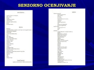 SENSENZZORNO OCENJIVANJEORNO OCENJIVANJE
 