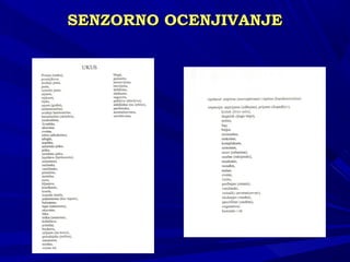 SENSENZZORNO OCENJIVANJEORNO OCENJIVANJE
 