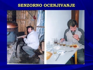 SENSENZZORNO OCENJIVANJEORNO OCENJIVANJE
 