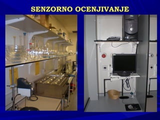 SENSENZZORNO OCENJIVANJEORNO OCENJIVANJE
 