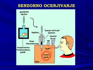 SENSENZZORNO OCENJIVANJEORNO OCENJIVANJE
 