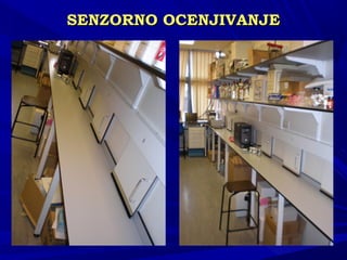 SENSENZZORNO OCENJIVANJEORNO OCENJIVANJE
 