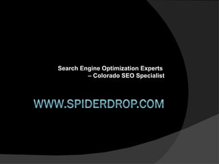 Search Engine Optimization Experts  – Colorado SEO Specialist 