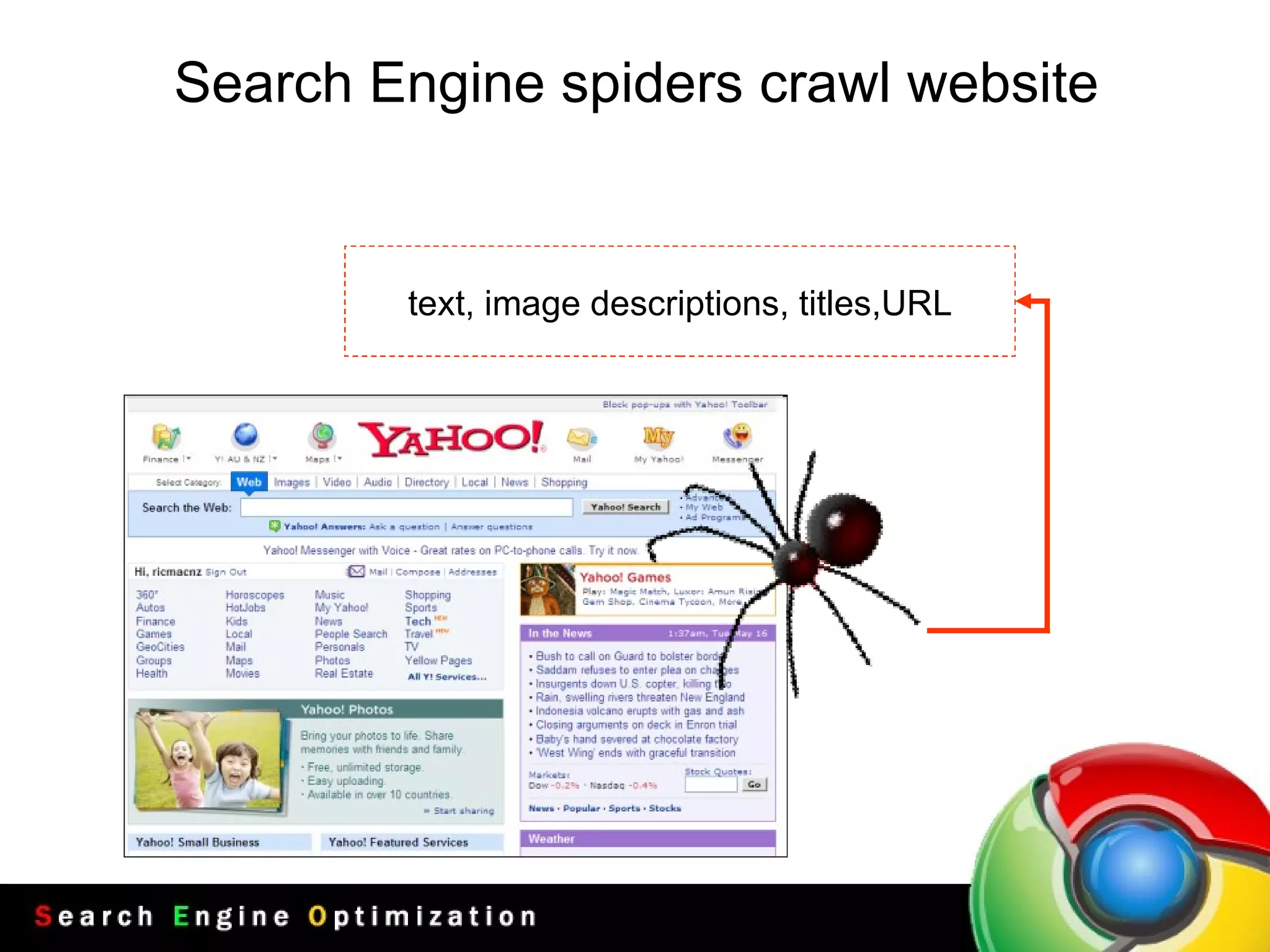 Search Engine spiders crawl website text, image descriptions, titles,URL 