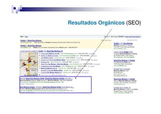 Resultados Orgânicos (SEO)
 