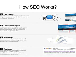How SEO Works? 