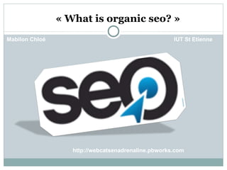 « What is organic seo? »
Mabilon Chloé                                        IUT St Etienne




                   http://webcatsenadrenaline.pbworks.com
 