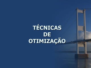 TÉCNICAS DE OTIMIZAÇÃO 