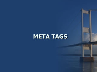 META TAGS 