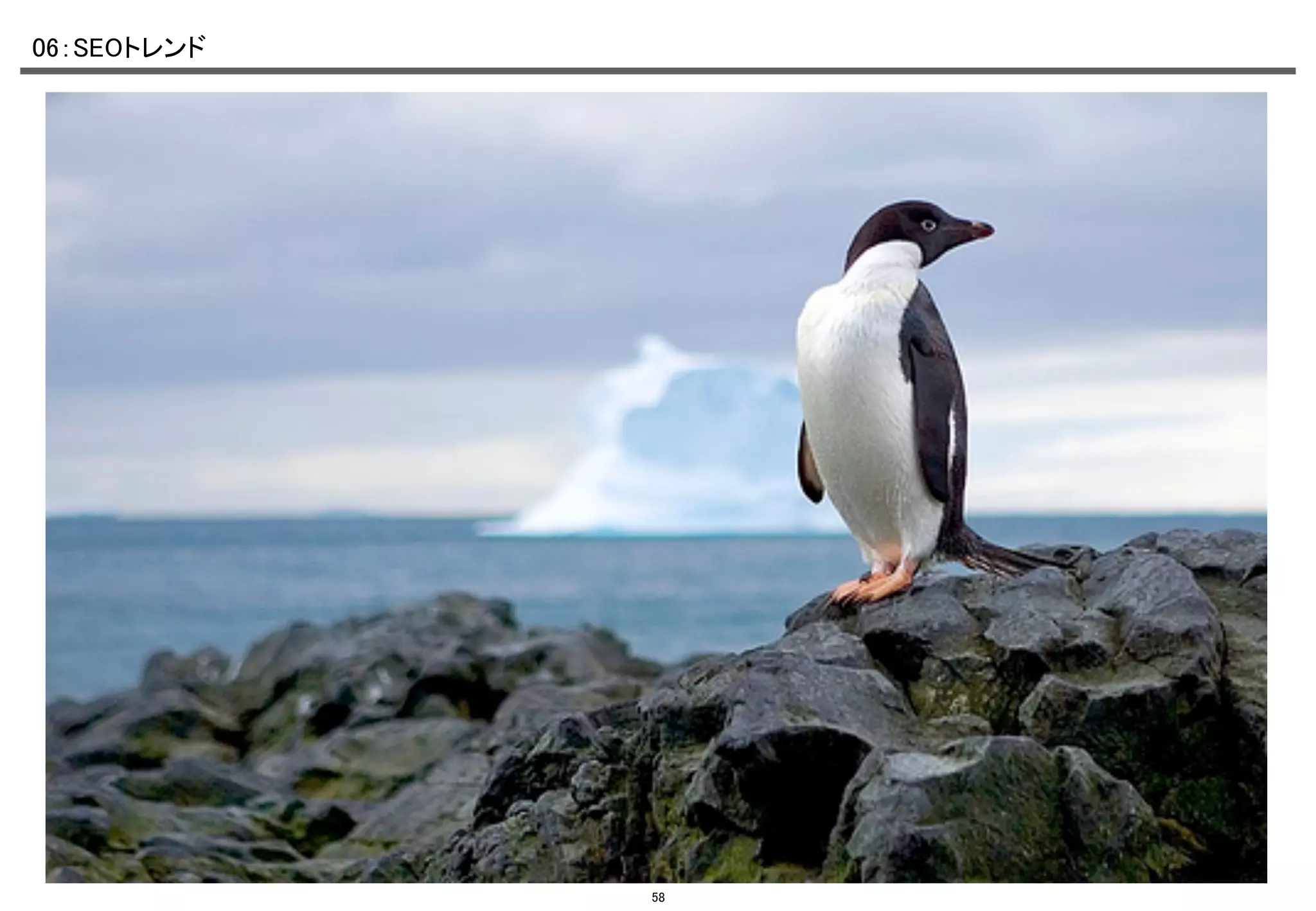 06：SEOトレンド	

58

 