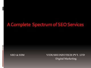 SEO & SEM VIDUSHI INFOTECH PVT. LTD
Digital Marketing
 