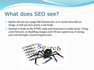 What does SEO see?
 Spiders do not see a page like humans do, as it cannot describe an
image, or tell you how pretty a site looks
 Instead, it looks at the HTML code and structures to make sense. Using
a text browser, or disabling images and CSS are a good way of seeing
your site through a search engines eyes.
 