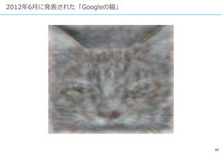 30
2012年6月に発表された「Googleの猫」
 