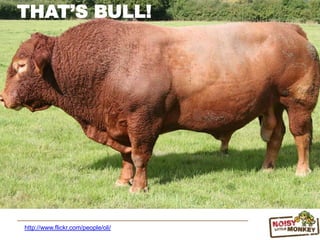 THAT’S BULL!
http://www.flickr.com/people/oli/
 