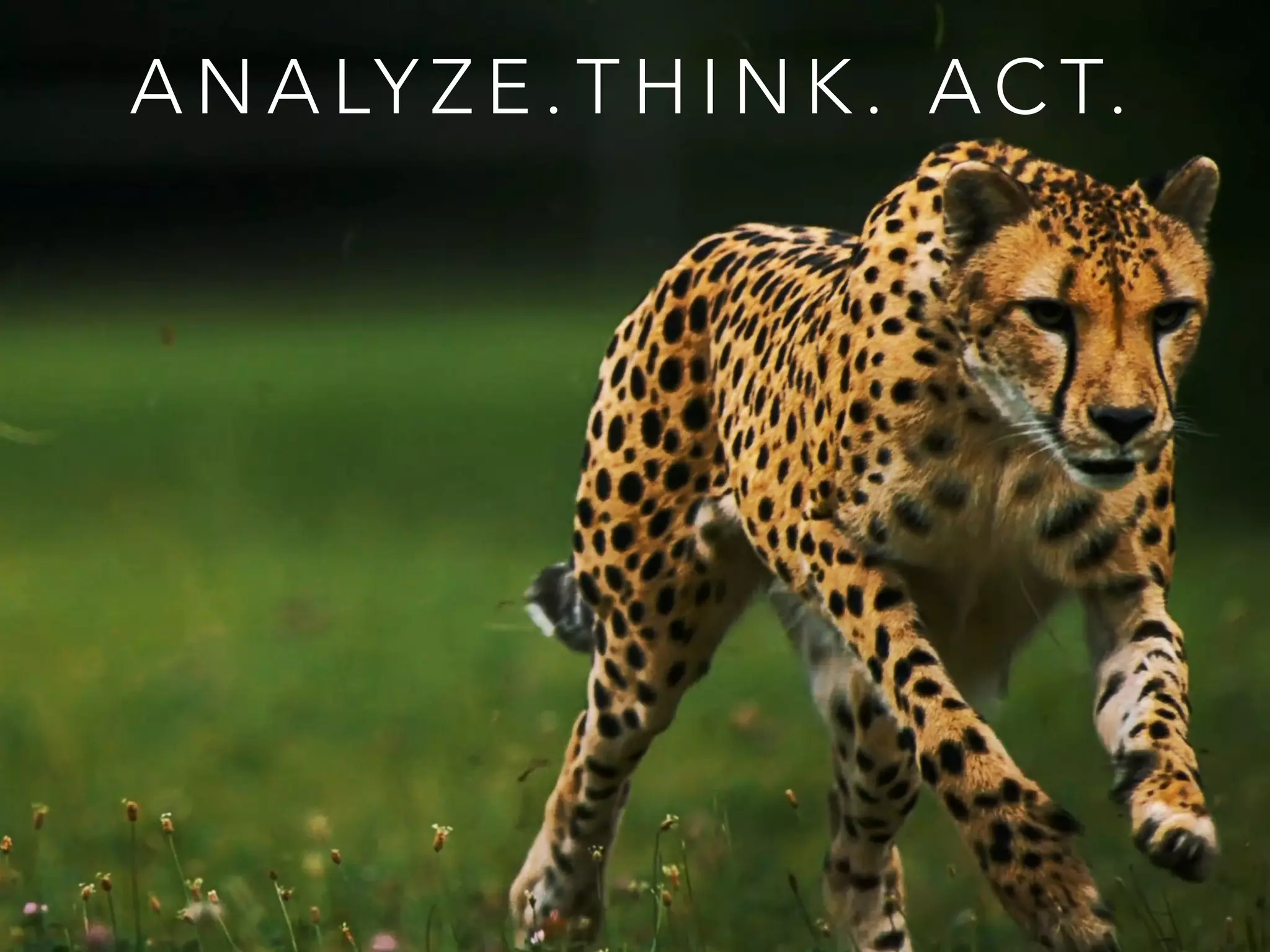A N A LY Z E . T H I N K . A C T.
 
