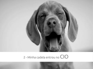 2 - Minha cadela entrou no CIO
 