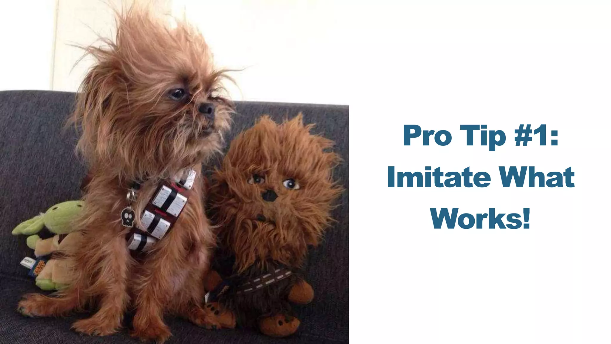 Pro Tip #1:
Imitate What
Works!
 