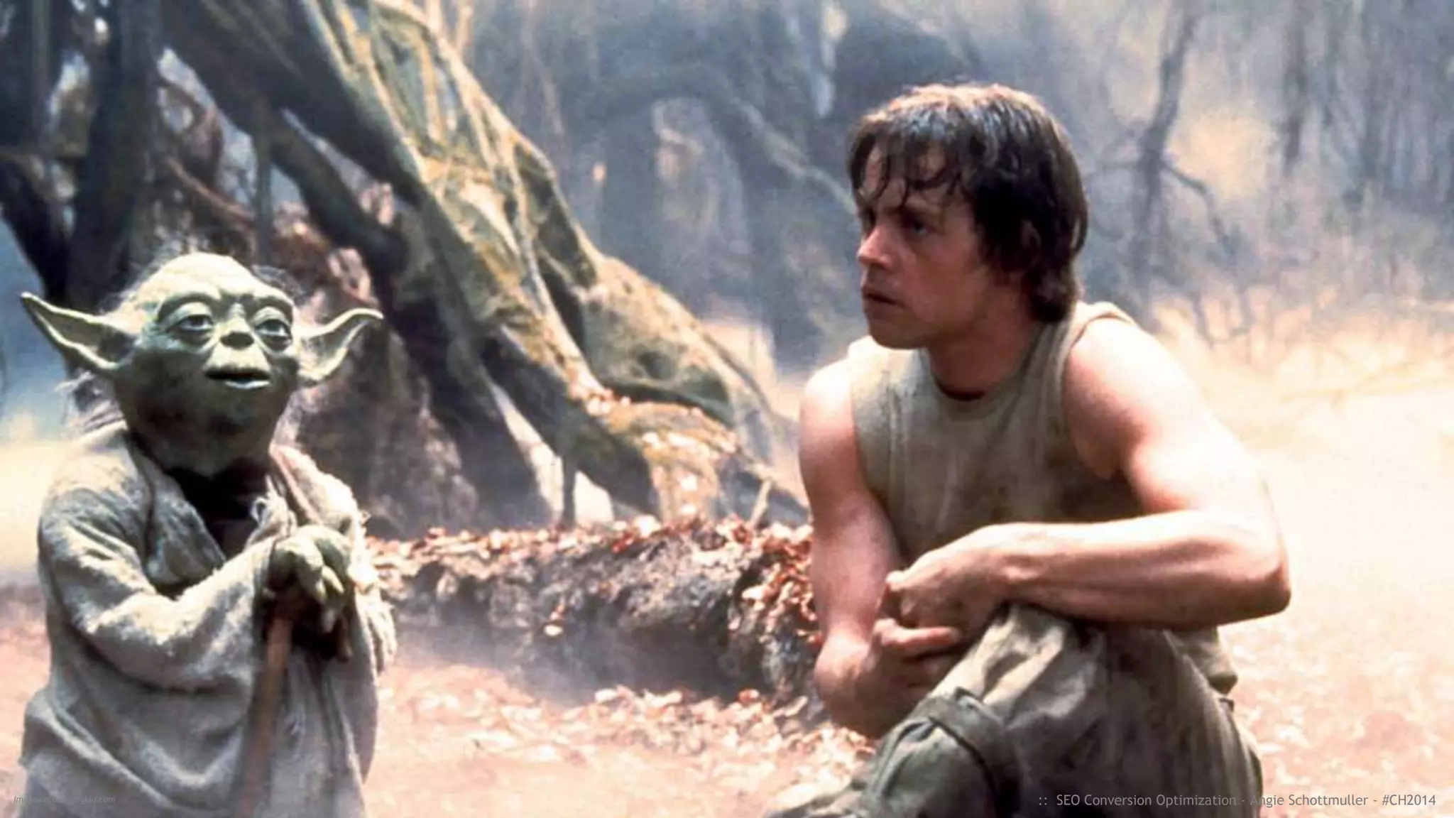 PROVIDE GUIDED
DIRECTION
STAR WARS OPTIMIZATION INSIGHT #4
:: SEO Conversion Optimization - Angie Schottmuller - #CH2014
 