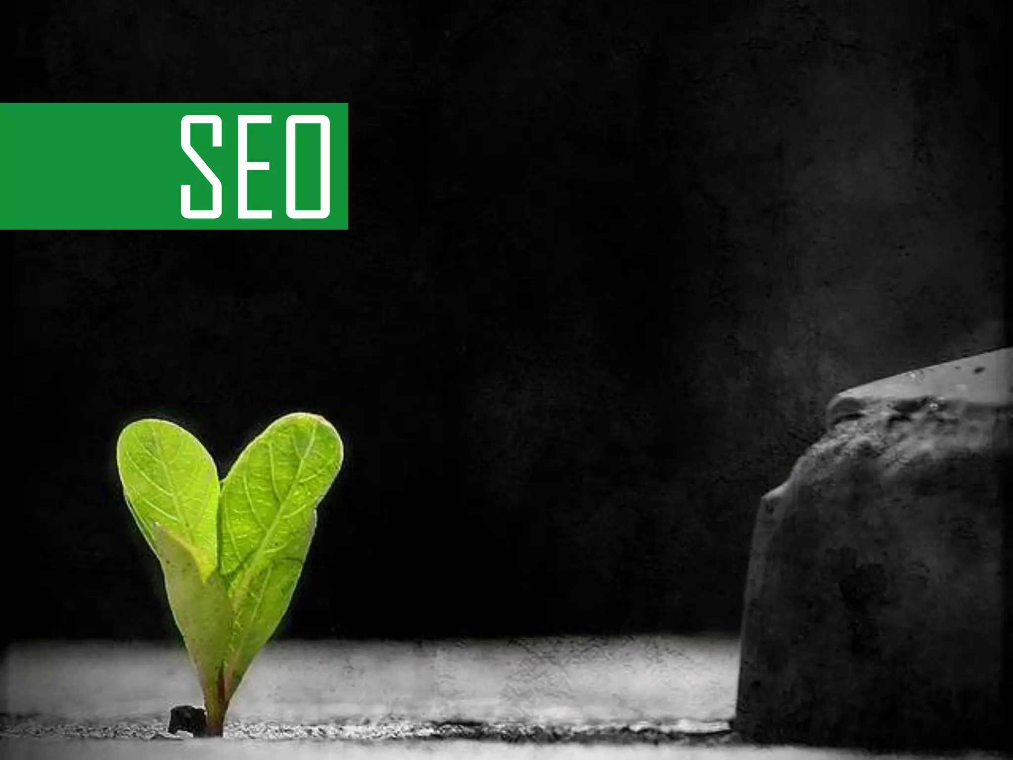 SEO