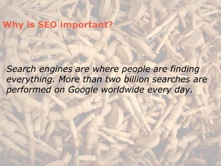 Why is SEO important?




Search engines are where people are finding
everything. More than two billion searches are
performed on Google worldwide every day.
 