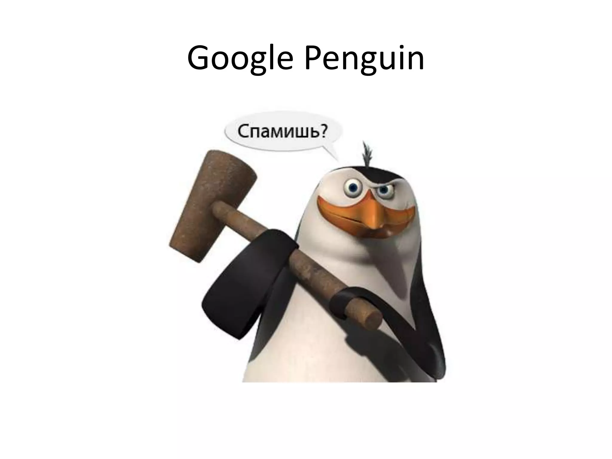 Google Penguin
 