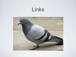 Links
 