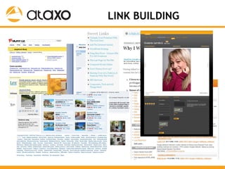 SEO @ Google University pro finanční segment