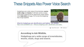 TheseSnippetsAlsoPower VoiceSearch
 