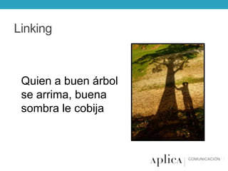 Linking

Quien a buen árbol
se arrima, buena
sombra le cobija

 