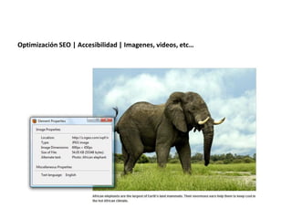 Optimización SEO | Accesibilidad | Imagenes, videos, etc…
 