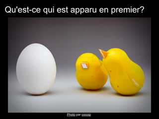Qu'est-ce qui est apparu en premier?




                Photo par cocoip
 