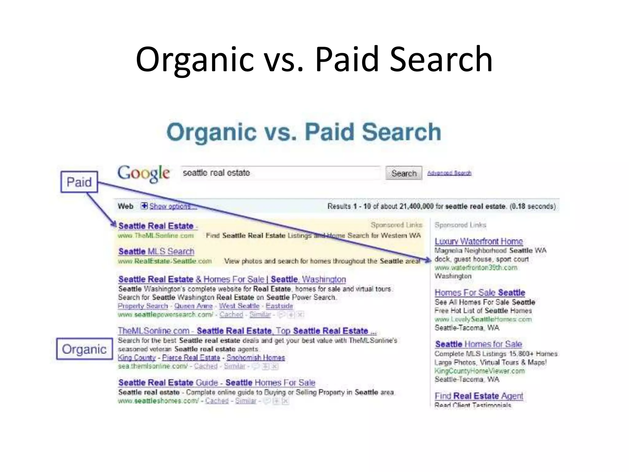 Organic vs. Paid Search