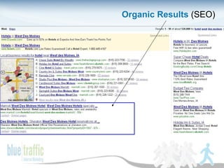 Organic Results  (SEO) 
