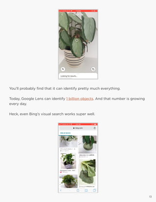 13
You’ll probably find that it can identify pretty much everything.
Today, Google Lens can identify 1 billion objects. And that number is growing
every day.
Heck, even Bing’s visual search works super well.
13
 