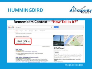 HUMMINGBIRD

Image: Eric Engage

 