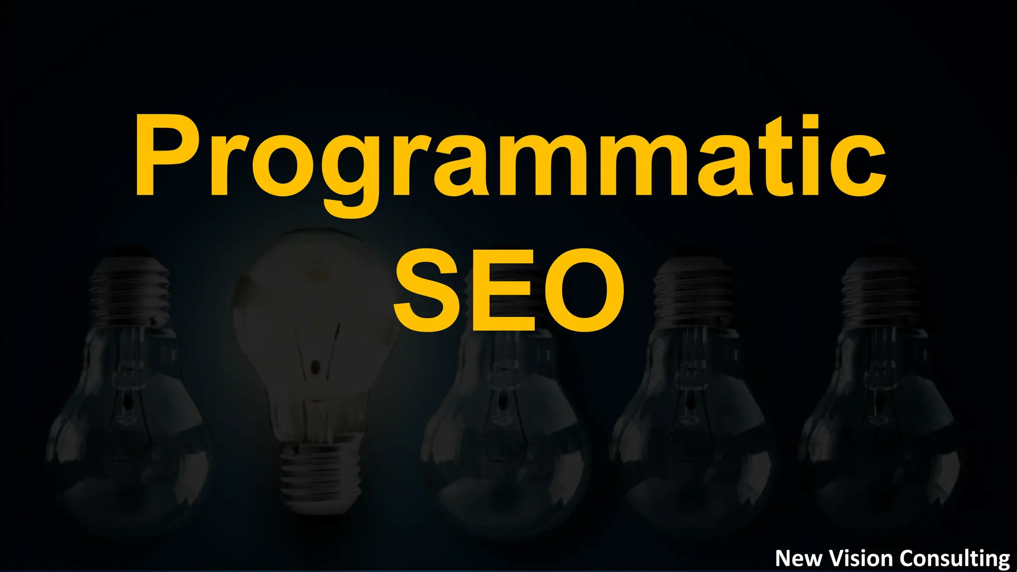 Programmatic
SEO
New Vision Consulting
 