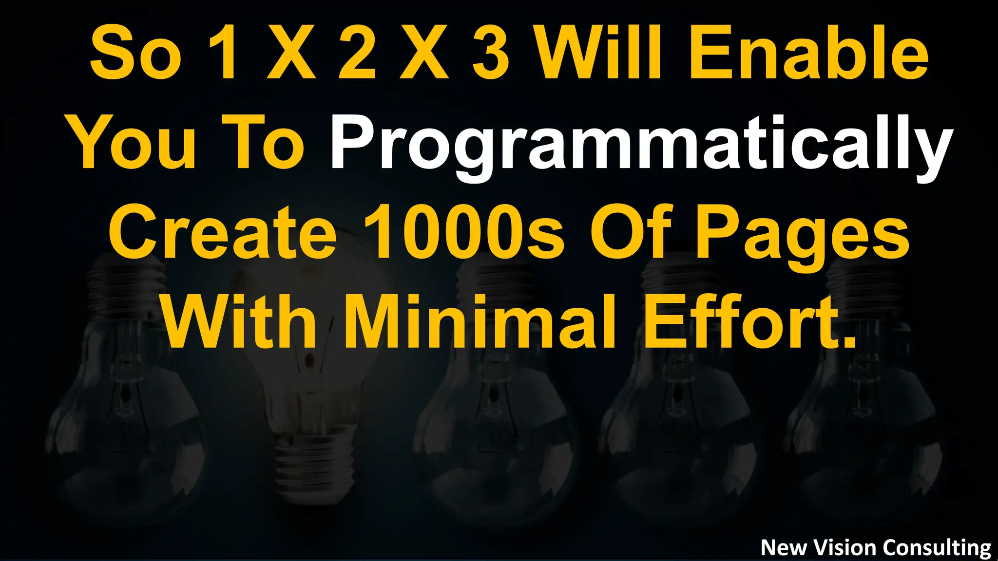 So 1 X 2 X 3 Will Enable
You To Programmatically
Create 1000s Of Pages
With Minimal Effort.
New Vision Consulting
 