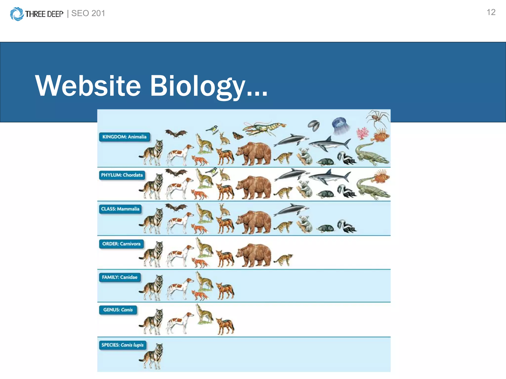| SEO 201 12
Website Biology…
 