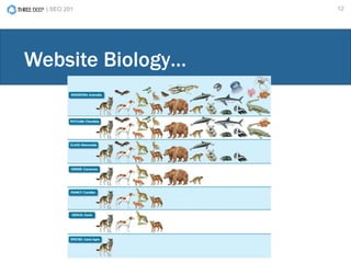 | SEO 201 12
Website Biology…
 