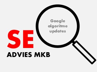 SEADVIES MKB
Google
algoritme
updates
 