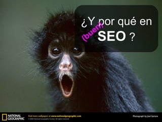 ¿Y por qué en  SEO  ? (buen) 