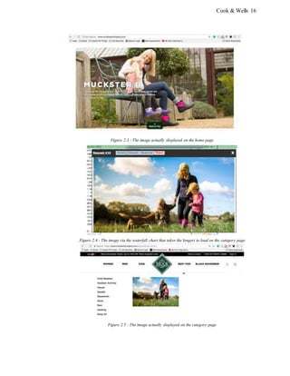 Cook & Wells 16
Figure 2.3 - The image actually displayed on the home page
Figure 2.4 - The image via the waterfall chart that takes the longest to load on the category page
Figure 2.5 - The image actually displayed on the category page
 