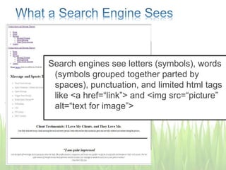 Search engines see letters (symbols), words
(symbols grouped together parted by
spaces), punctuation, and limited html tags
like <a href=“link”> and <img src=“picture”
alt=“text for image”>
 