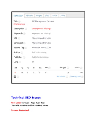 Technical SEO Issues
Tool Used: SEMrush + Page Audit Tool​
Your site presents multiple backend issues.
Issues Detected:
 
