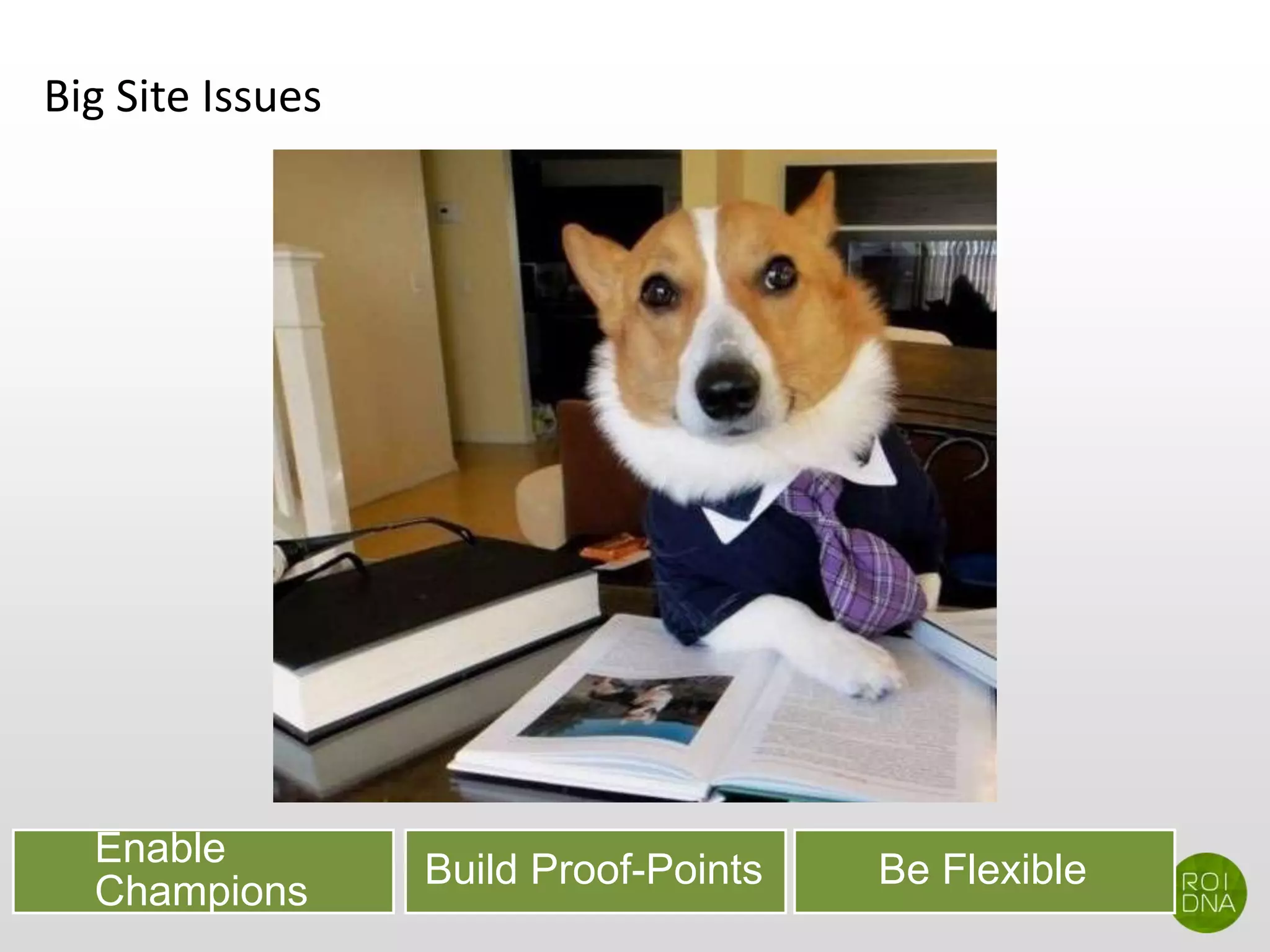 Big Site Issues
Enable
Champions
Build Proof-Points Be Flexible
 