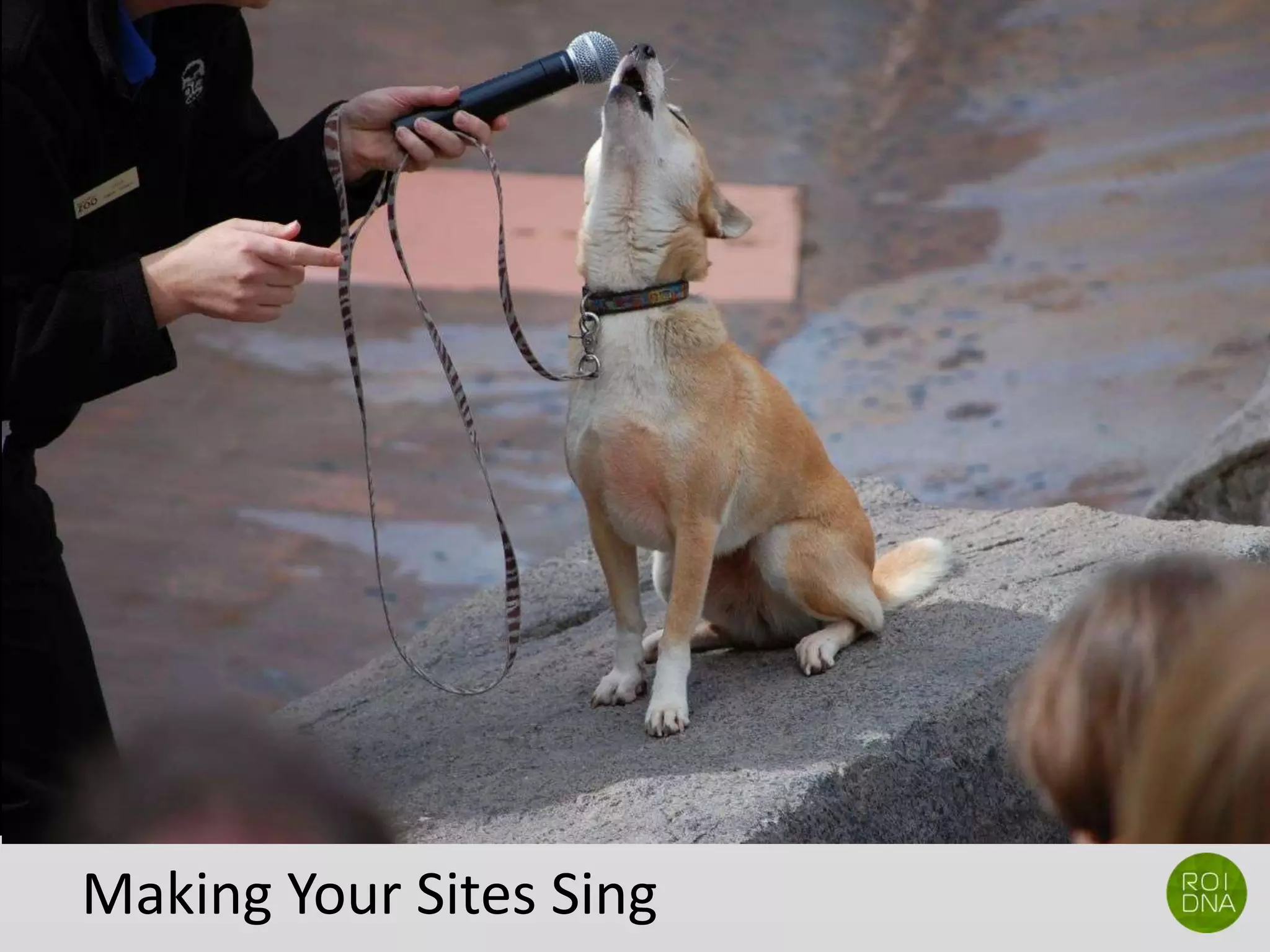 Making Your Sites Sing
 