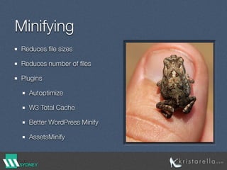 Minifying
Reduces ﬁle sizes
Reduces number of ﬁles
Plugins
Autoptimize
W3 Total Cache
Better WordPress Minify
AssetsMinify
 