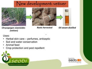 Uses:
• Herbal skin care – perfumes, antiseptic
• Soil and water conservation
• Animal feed
• Crop protection and pest repellent
New development: vetiver
Chrysopogon zizanioides
(vetiver)
Roots harvested Oil steam-distilled
 